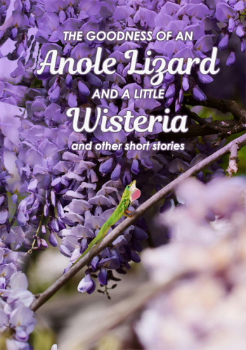 The Goodness of an Anole Lizard and a Little Wisteria