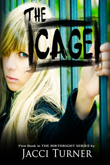 The Cage partial copy