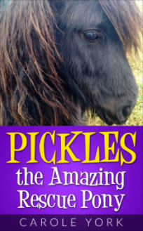 Pickles the Amazing Rescue Pony