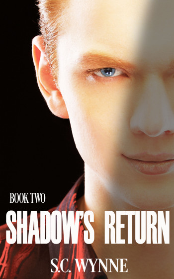 Shadow's Return Book Two