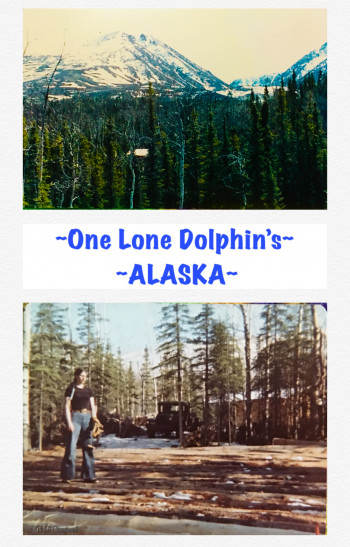 ~ONE LONE DOLPHIN’S ALASKA~