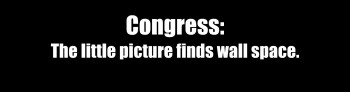 “Congress: The little picture finds wall space”