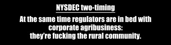 NYSDEC two-timing