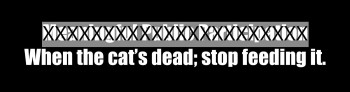 “When the cat’s dead” Bumper sticker