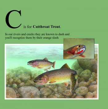 C is for Cutthroat Trout