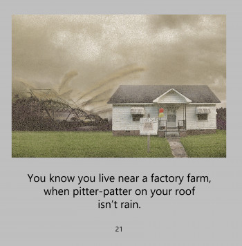 Pitter-patter on your roof