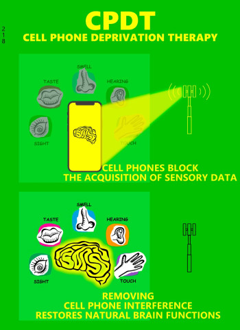 “Cell Phone Deprivation Therapy” Poster
