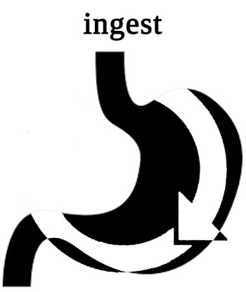 “Ingest” Logo